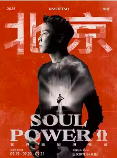 【北京站】2025 陶喆 Soul Power II 演唱会-北京站（内地收官站）